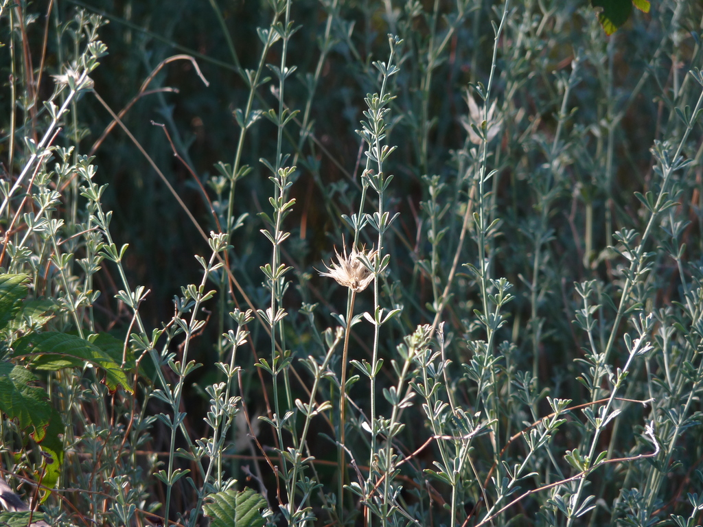 No s'ha trobat l'arxiu